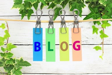 f:id:ohitorisamazanmai:20191207133511j:plain