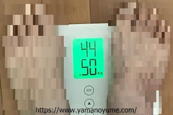 f:id:ohitorisamazanmai:20191211103732j:plain f:id:ohitorisamazanmai:20191211103732j:plain