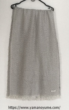 f:id:ohitorisamazanmai:20191215205629j:plain f:id:ohitorisamazanmai:20191215205629j:plain