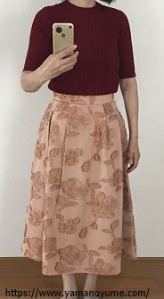 f:id:ohitorisamazanmai:20191219100739j:plain