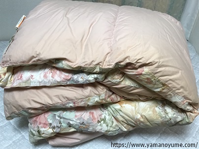 f:id:ohitorisamazanmai:20191221122832j:plain f:id:ohitorisamazanmai:20191221122832j:plain