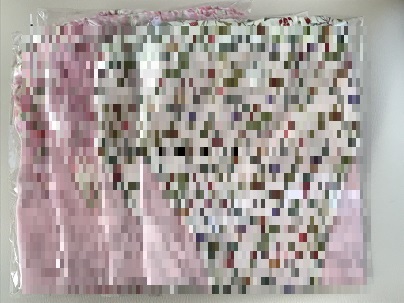 f:id:ohitorisamazanmai:20191229122239j:plain