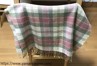 f:id:ohitorisamazanmai:20200111121947j:plain