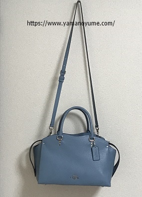 f:id:ohitorisamazanmai:20200610143143j:plain f:id:ohitorisamazanmai:20200610143143j:plain