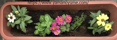 f:id:ohitorisamazanmai:20200925214208j:plain