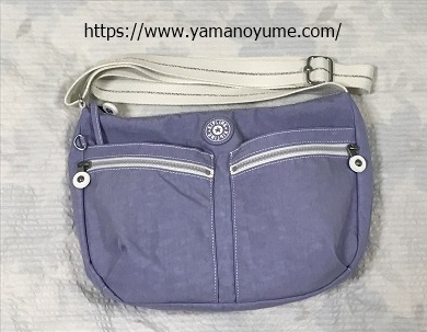 f:id:ohitorisamazanmai:20201024171718j:plain f:id:ohitorisamazanmai:20201024171718j:plain