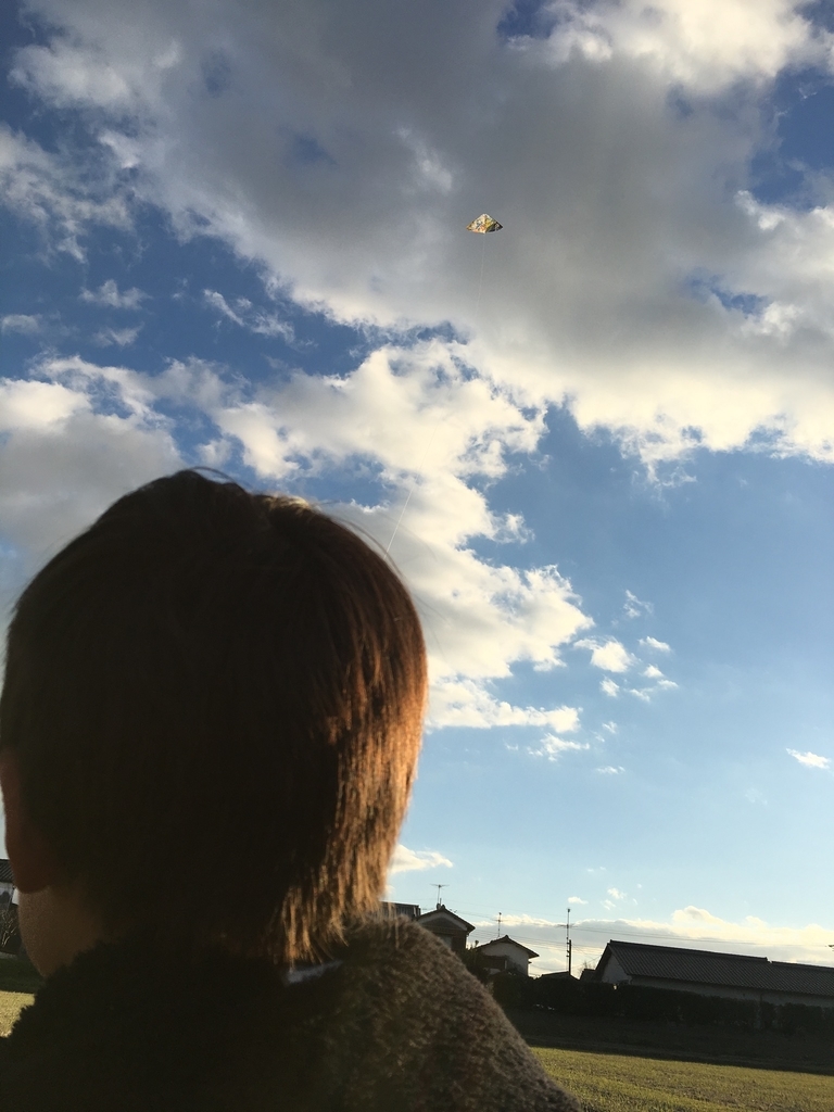 f:id:ohji-island:20190107003050j:plain f:id:ohji-island:20190107003050j:plain