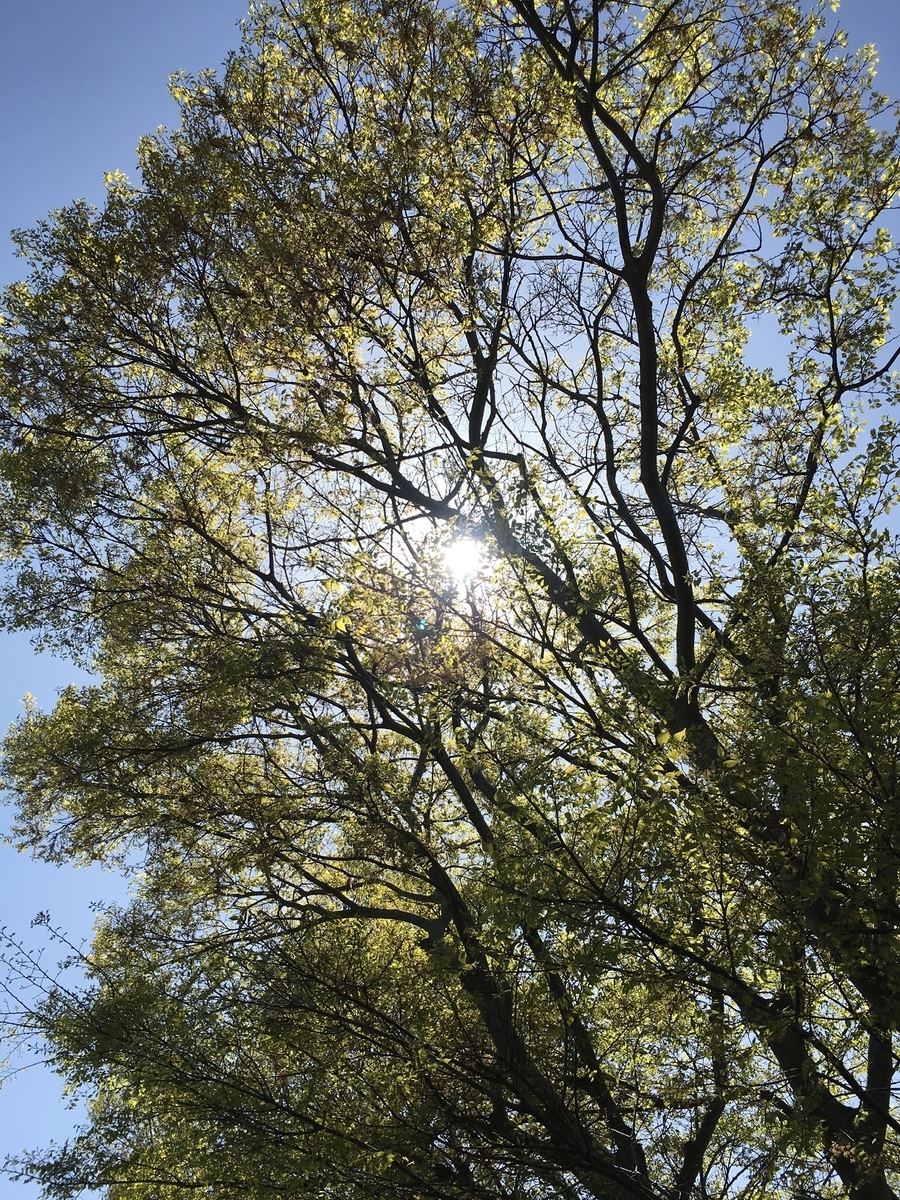 f:id:ohji-island:20190420221637j:plain f:id:ohji-island:20190420221637j:plain
