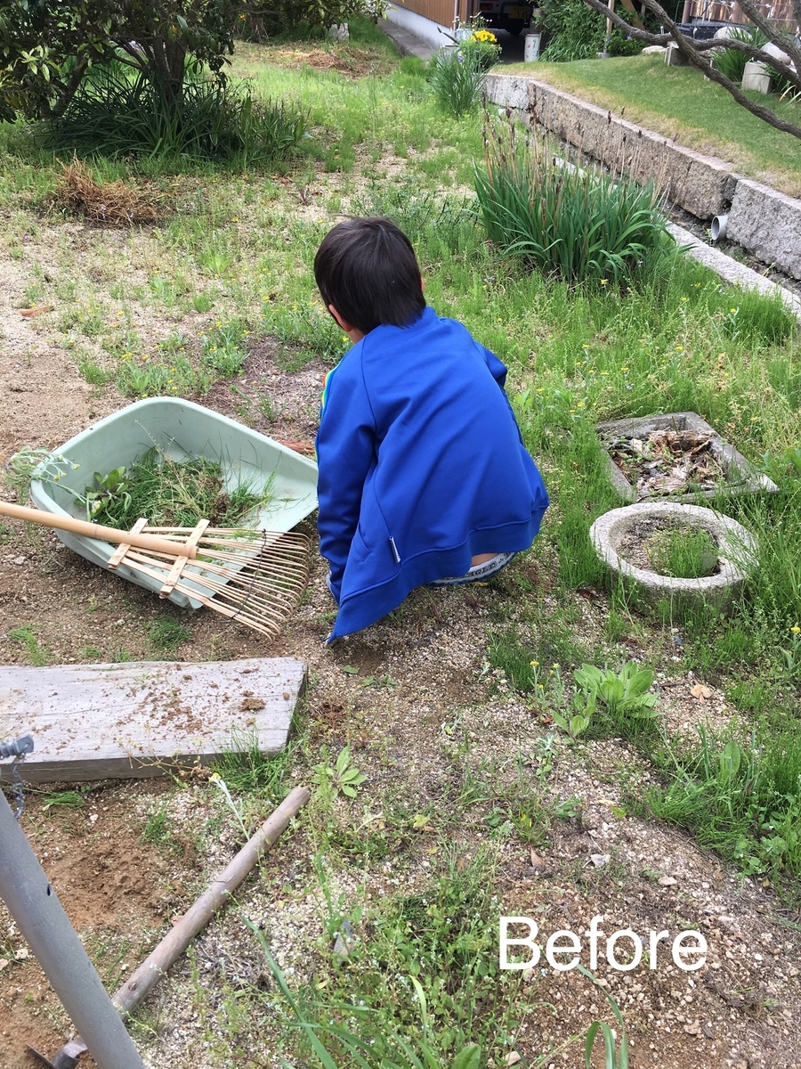f:id:ohji-island:20190428025934j:plain f:id:ohji-island:20190428025934j:plain
