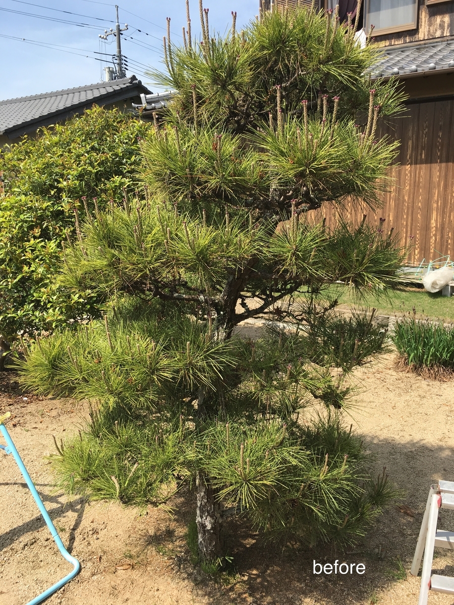 f:id:ohji-island:20190506001235j:plain f:id:ohji-island:20190506001235j:plain