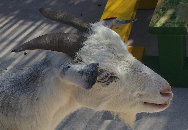 f:id:ohke:20190323133108j:image:w224