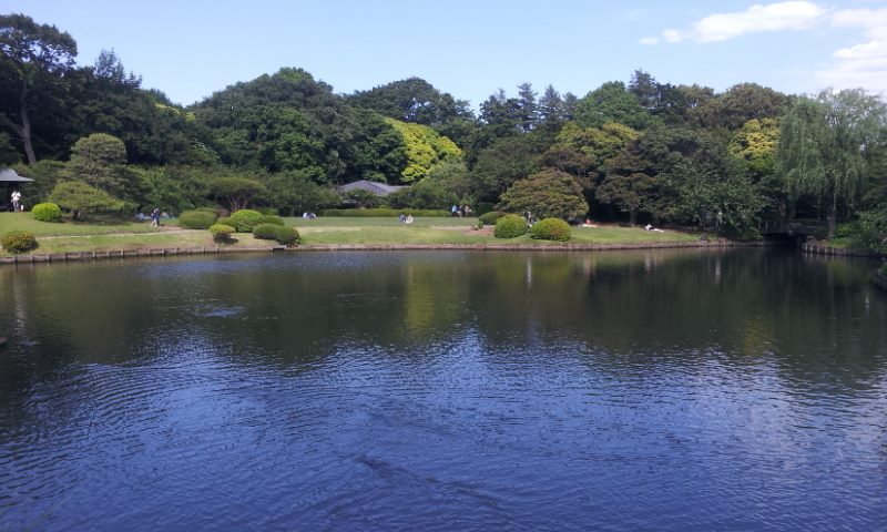 f:id:ohke:20190323134049j:image:w224