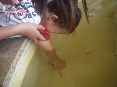 f:id:ohkuri:20090926130328j:image