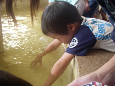 f:id:ohkuri:20090926130341j:image