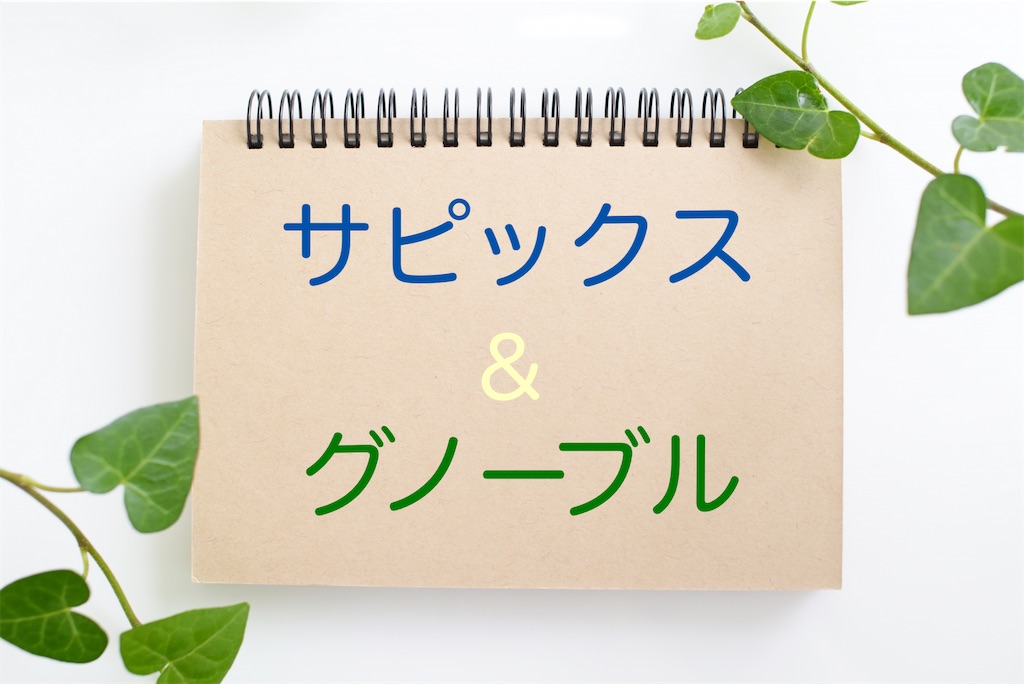 2023年度　グノーブル5年グノレブテスト12回分 サピックスオープン1回分 中学受験】グノーブル5年生5月 （GnoRevテスト)（2024年）｜い