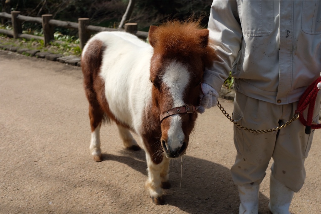 f:id:ohm1217:20190403232649j:image