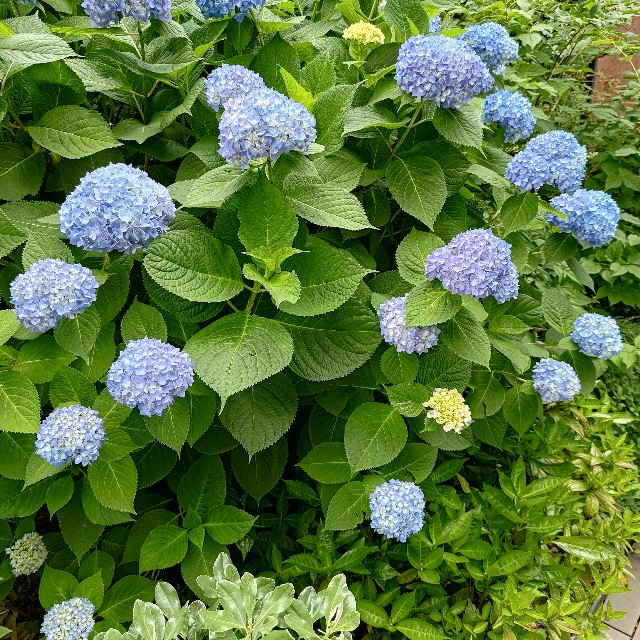 f:id:ohma1227:20250524160713j:image
