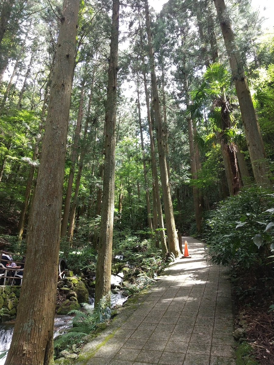 f:id:ohmikan:20210723230206j:plain