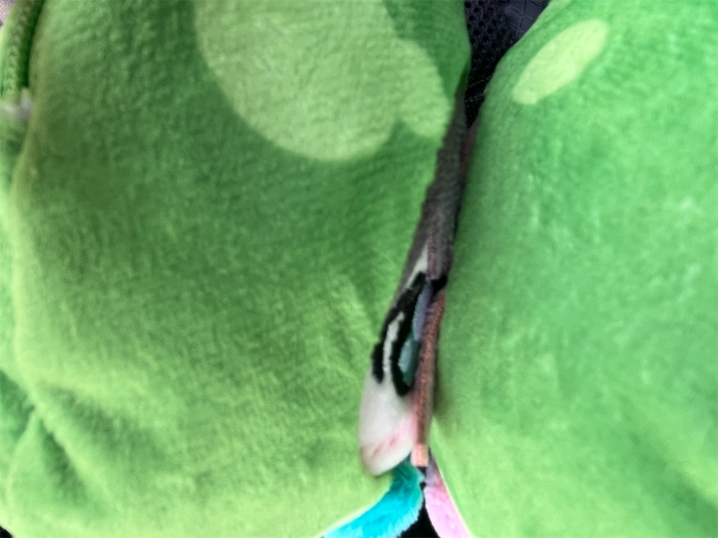 f:id:ohnoakihiko:20251013122413j:image