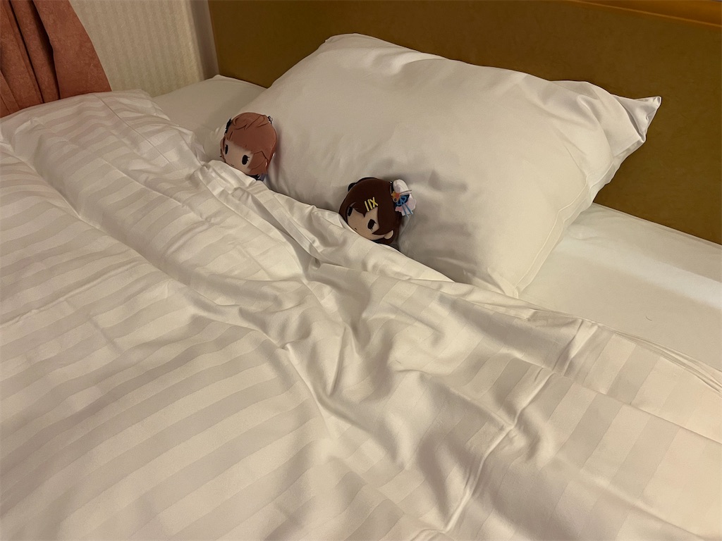 f:id:ohnoakihiko:20251027232756j:image