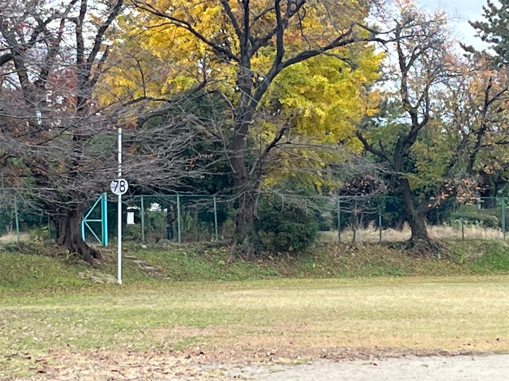 f:id:ohnoakihiko:20251223232027j:image