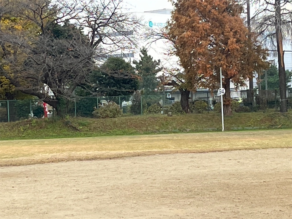 f:id:ohnoakihiko:20251223232033j:image