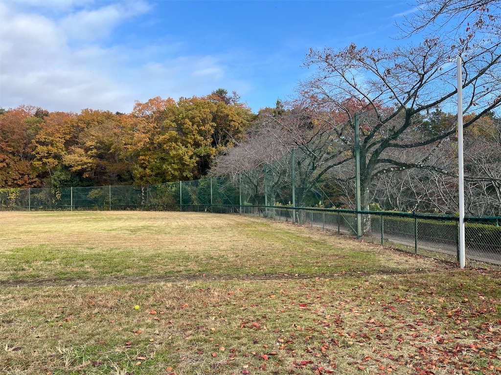 f:id:ohnoakihiko:20251223232044j:image