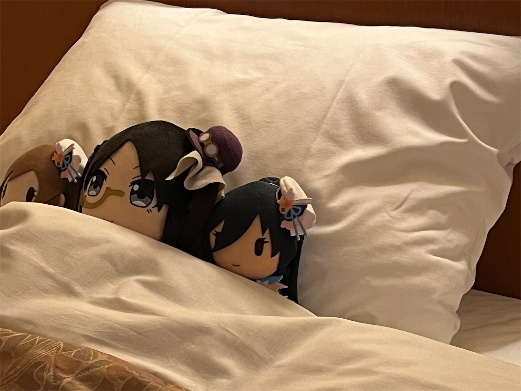 f:id:ohnoakihiko:20260201224419j:image