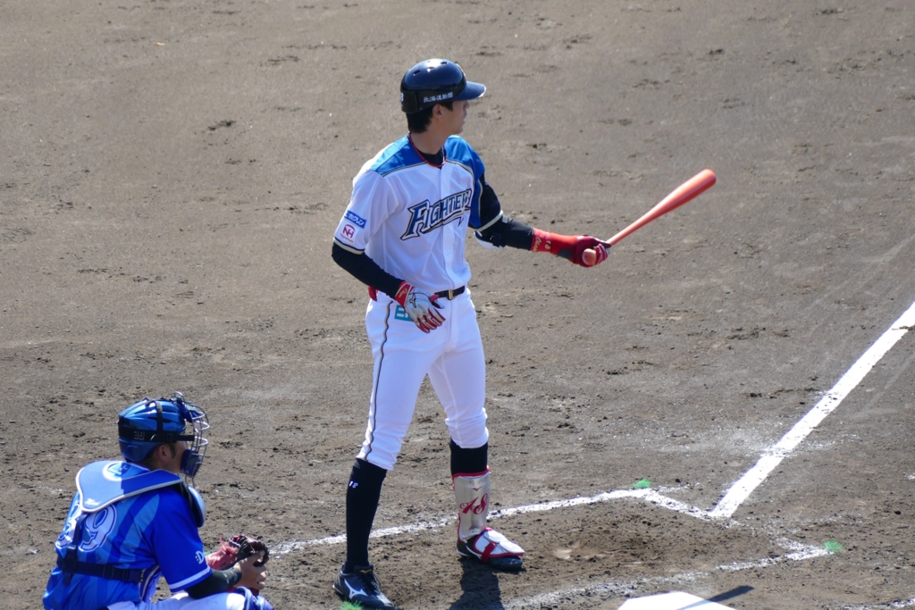 f:id:ohnorimaki:20170425222940j:plain