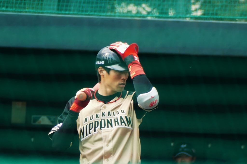 f:id:ohnorimaki:20170430201225j:plain