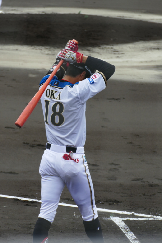 f:id:ohnorimaki:20170629231239j:plain