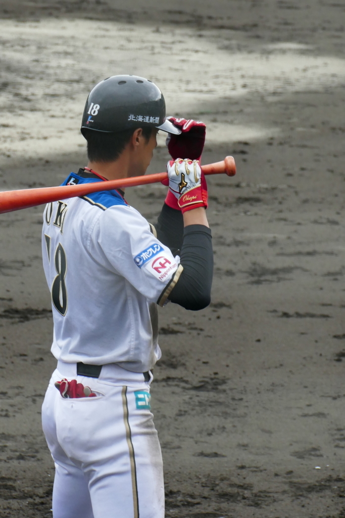 f:id:ohnorimaki:20170629231403j:plain