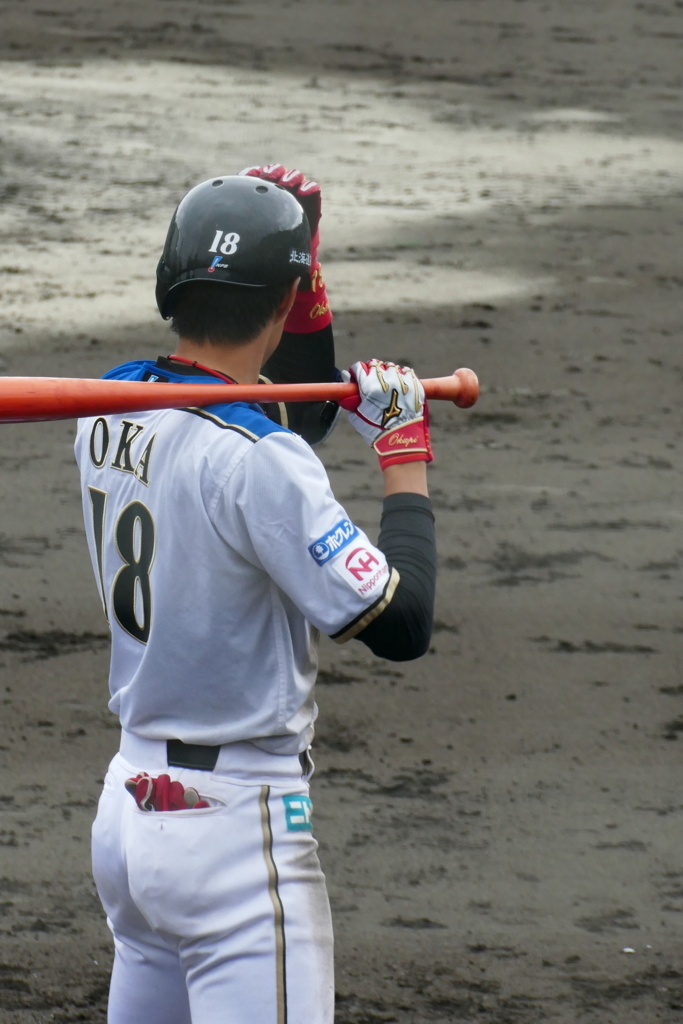 f:id:ohnorimaki:20170629231513j:plain