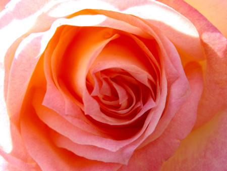 f:id:ohnosakiko:20100328215955j:image f:id:ohnosakiko:20100328215955j:image