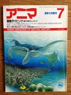 f:id:ohnosakiko:20130712110041j:image