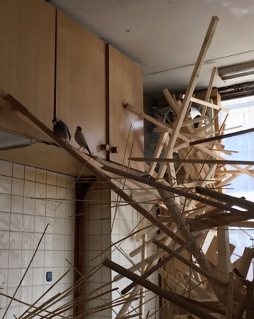 f:id:ohnosakiko:20160817162225j:image f:id:ohnosakiko:20160817162225j:image