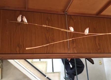 f:id:ohnosakiko:20160817162407j:image f:id:ohnosakiko:20160817162407j:image