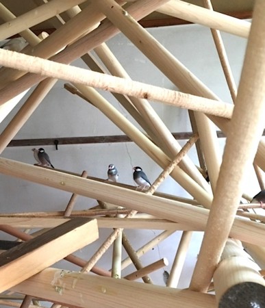 f:id:ohnosakiko:20160817162541j:image f:id:ohnosakiko:20160817162541j:image