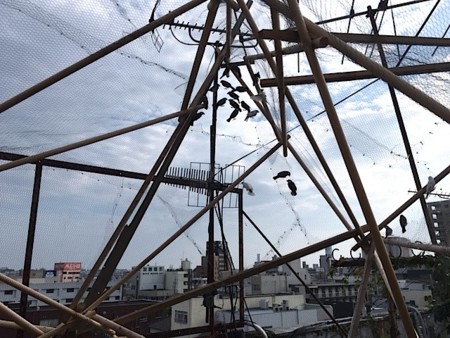 f:id:ohnosakiko:20160817162808j:image f:id:ohnosakiko:20160817162808j:image