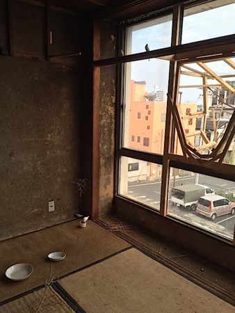 f:id:ohnosakiko:20160817163315j:image f:id:ohnosakiko:20160817163315j:image