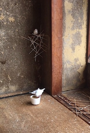 f:id:ohnosakiko:20160817163406j:image f:id:ohnosakiko:20160817163406j:image