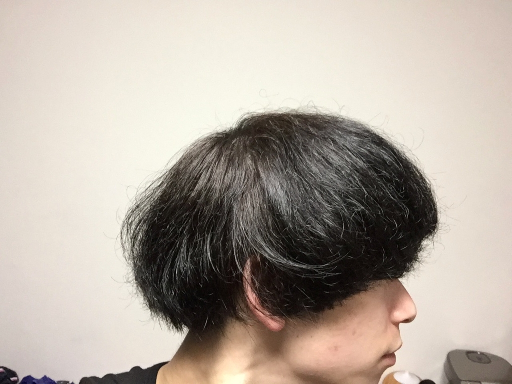 f:id:ohrmsk927:20170131011650j:plain