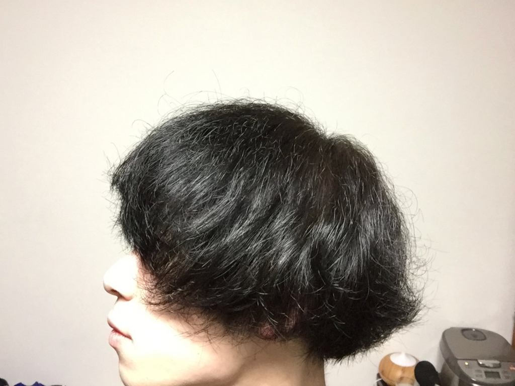 f:id:ohrmsk927:20170131012406j:plain