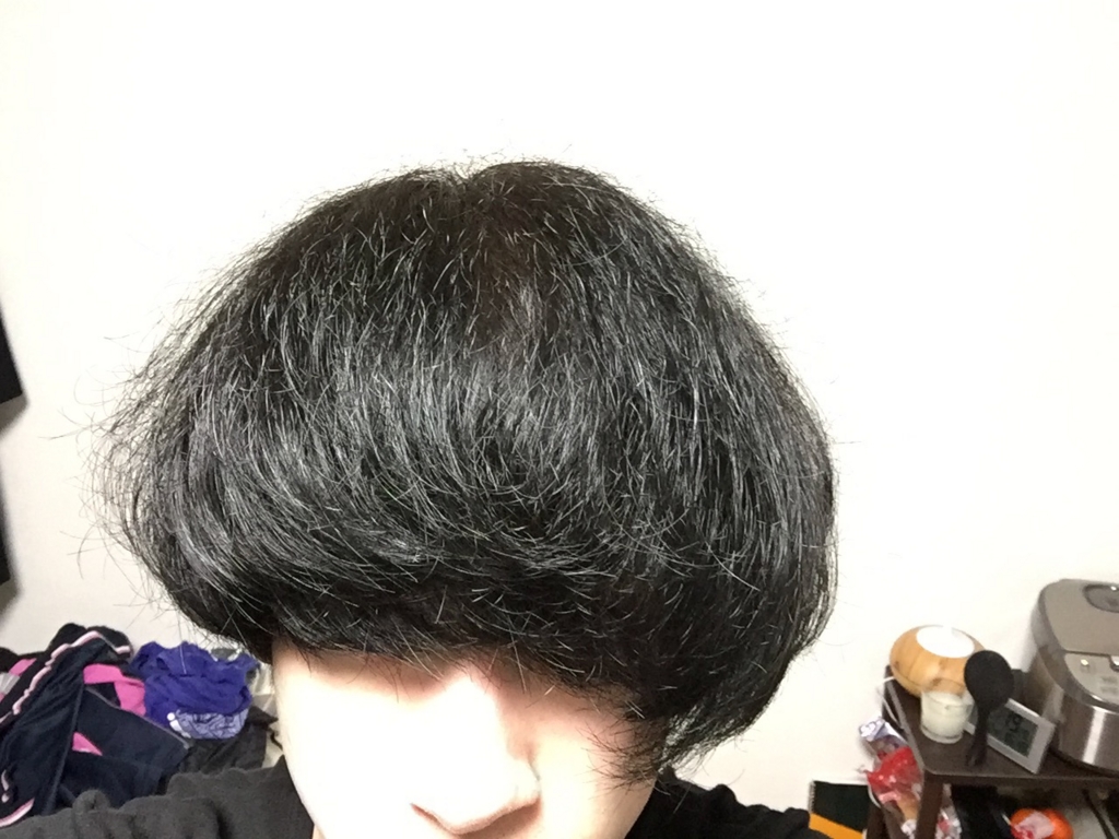 f:id:ohrmsk927:20170131012422j:plain