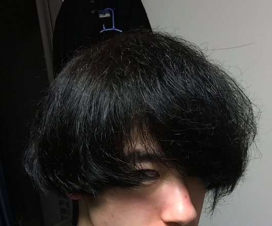 f:id:ohrmsk927:20170131012503p:plain