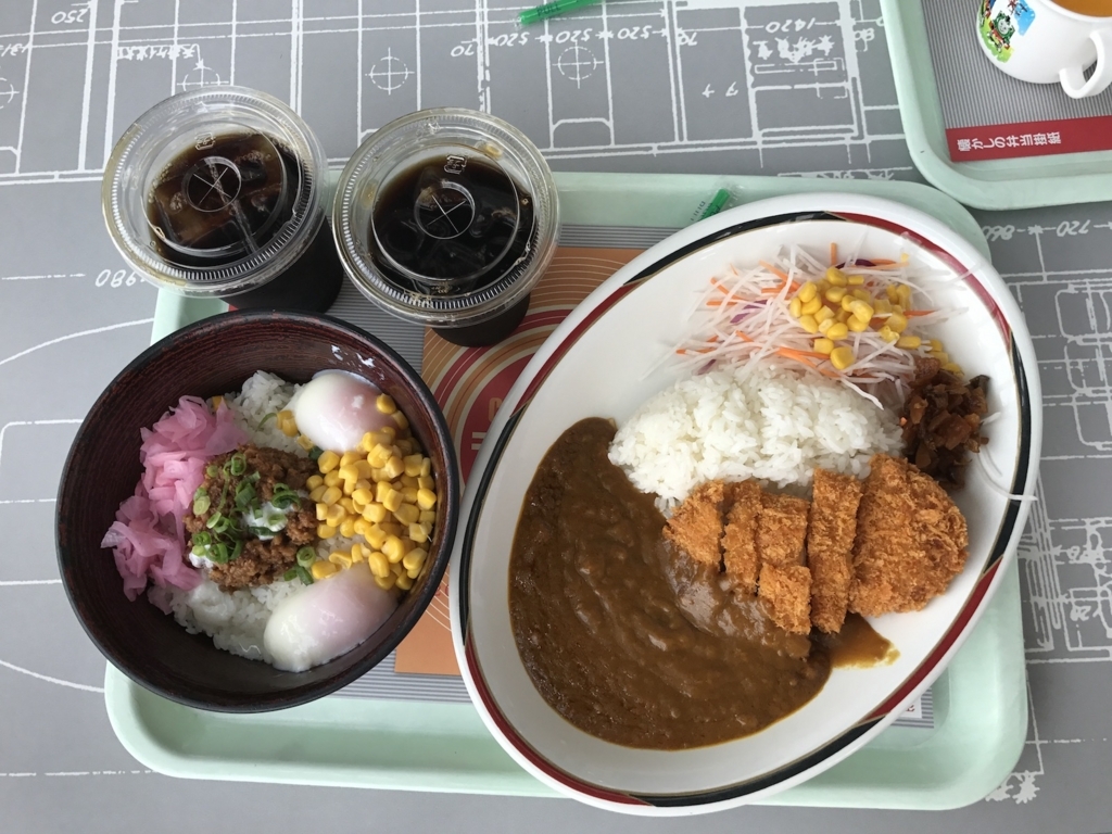 f:id:ohsera-subaru:20170820060524j:plain
