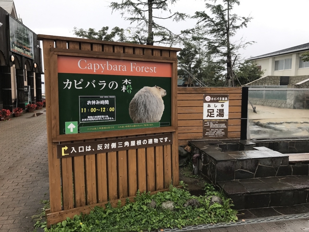 f:id:ohsera-subaru:20170829154550j:plain f:id:ohsera-subaru:20170829154550j:plain