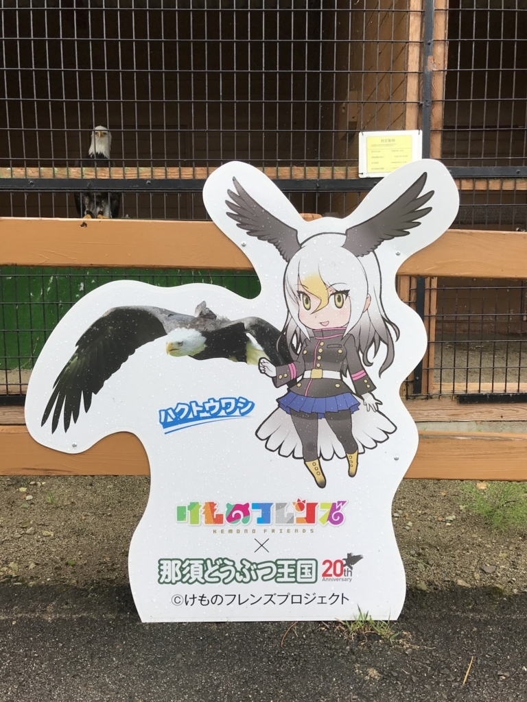 f:id:ohsera-subaru:20170830124802j:plain f:id:ohsera-subaru:20170830124802j:plain