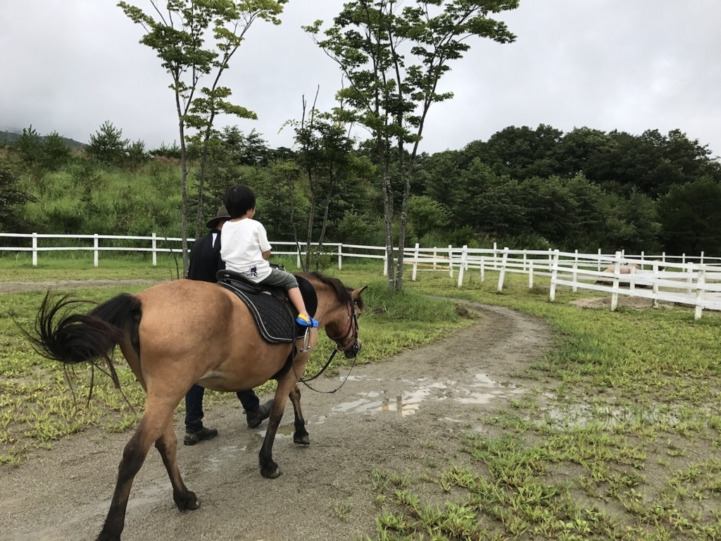 f:id:ohsera-subaru:20170830125808j:plain f:id:ohsera-subaru:20170830125808j:plain