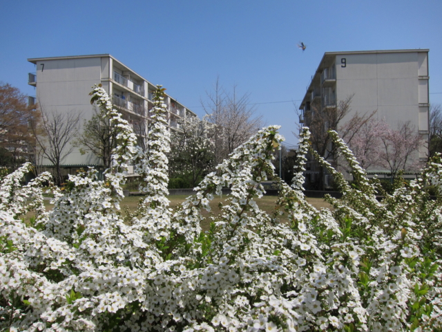 f:id:ohsuminaoto:20110410123632j:image